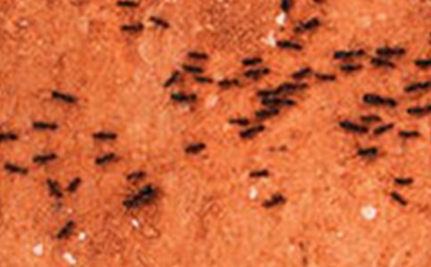 Λρ����^���D��Ԓ(�؂�)