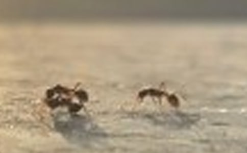 (��)Λρ����^���D��Ԓ15ƪ