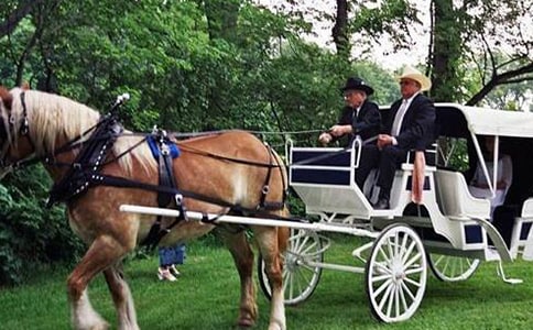 ���r�g��С�R܇���̌W�OӋ