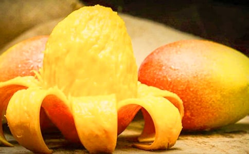 關于《芒果街上的小屋》讀后感范文(精選6篇)