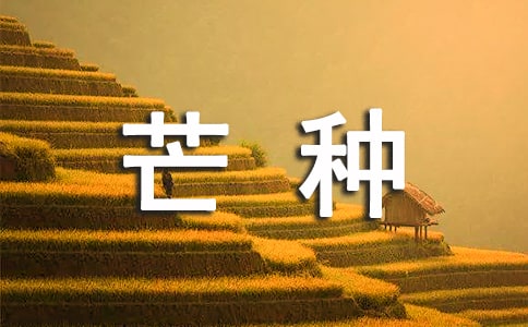 二十節(jié)氣之一芒種優(yōu)美文案