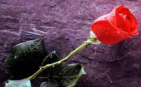 �l(f��)��õ����f�f