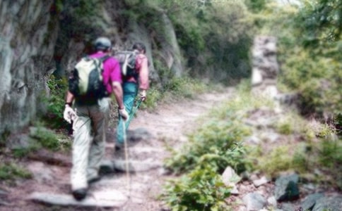 ��ɽ�ĸ����f�f