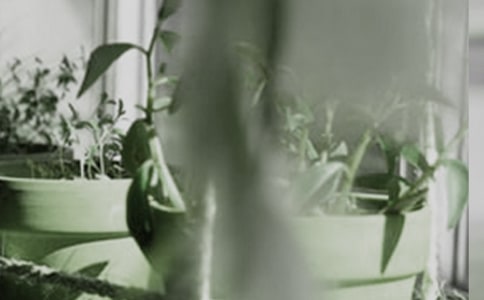 �ҵ�С��������300��