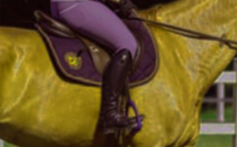 騎馬作文:暑假學(xué)騎馬