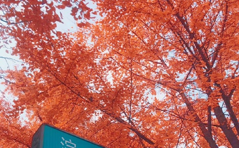 ���ռĝM�ә����x�𰸼��p��