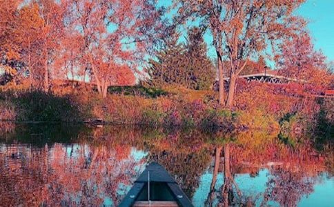 �����]������ԭ�ķ��g���p��