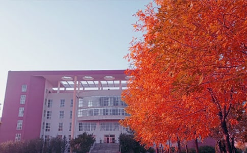 ����ԭ�ķ��g���p������15ƪ