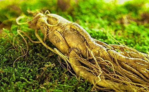 個人參觀學習心得體會模板