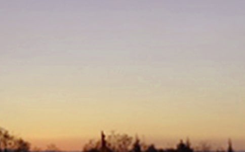 �������Ψ������