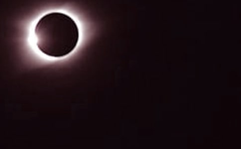 ���г�������800�֣���ʳ�^����