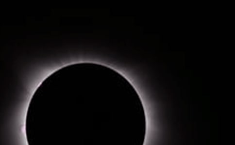 �茑��ʳ�����g��Ԋ���ȫ