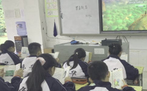 �K�݇����_�Ŵ�W�������n