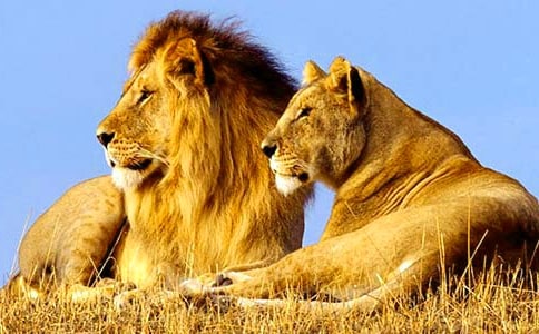 ���Ӻͪ{�ӽ̰�