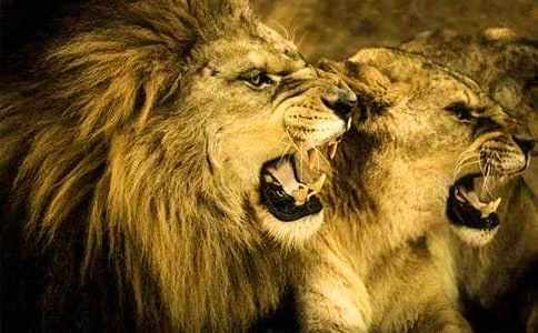 ���{�Ӻ�¹�����x���