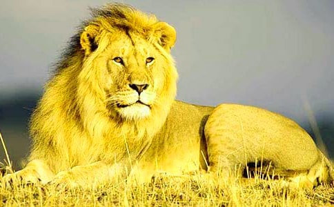 �n�ġ���ֻС�{�ӡ��̌W�OӋģ��