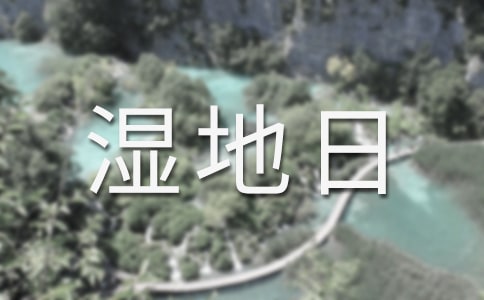 ������������һ��