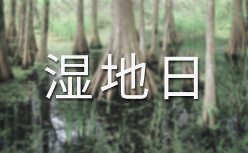 2015�����������}-��أ��҂���δ��(l��i)