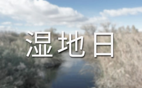 世界濕地日宣傳活動總結(通用5篇)