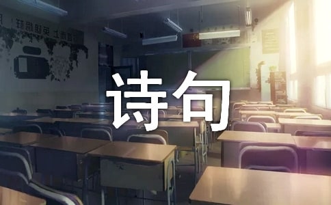 �o����ӭ�õ�Ԋ��