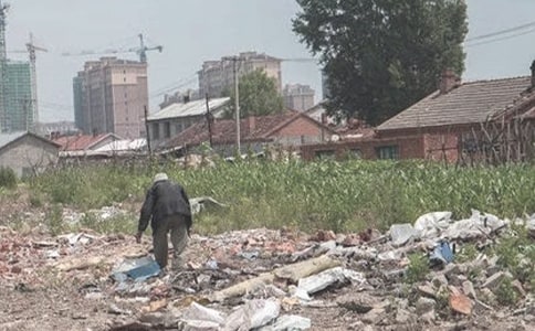 拾荒老人作文800字