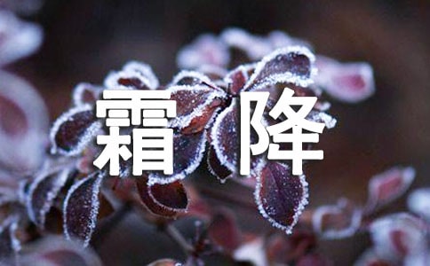 2022描寫霜降的優(yōu)美文案(精選110句)