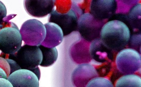 ˮ���I�u��ͬ(���x15ƪ)