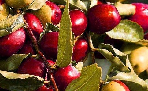 ����ˮ���I�u��ͬ��ͨ��