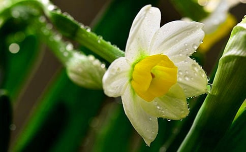 �����������_ˮ��ԭ�ļ��p��