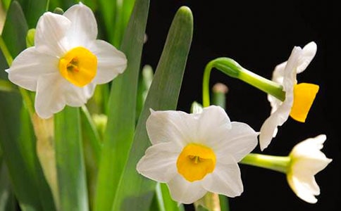 ��ˮ����ԁѩ����x�𰸼��p��