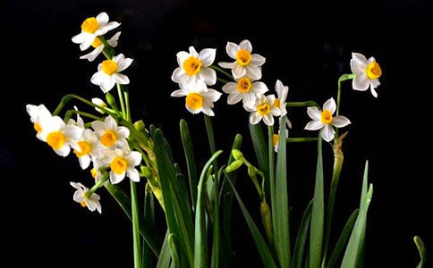 ����˼��ˮ���ӡ�ҹ�꡷