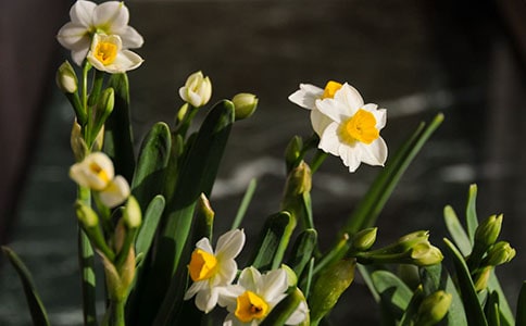 ��������ϣ����ˮ�����x����Ԋԭ�ķ��g���p��