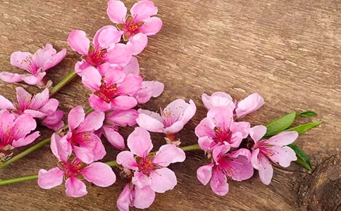 ����ҹ��ĵ��һ��@�򡷽���̰��OӋ