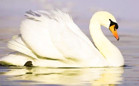 ���Z������x�p��