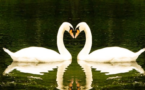 ���Z֮�������x����С�����иУ�ͨ��37ƪ��