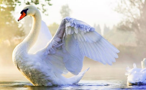 ���Z���g�n��