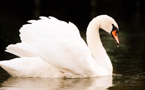 �����Z�����r�����~���̌W��˼����