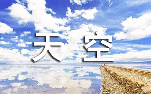 ΢Ц׌���׃�ö������