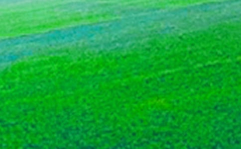 《田野上的白發》閱讀答案