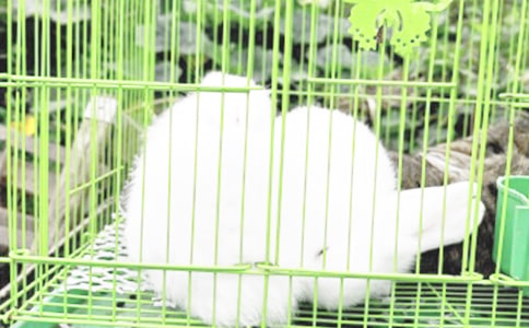 С�ཡ������̰����̌W��˼������С���ӡ�