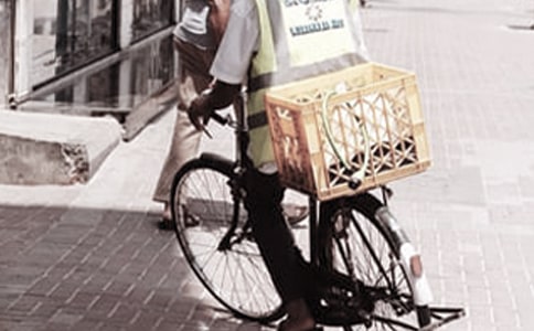 ���u�T�����ĵ��w��