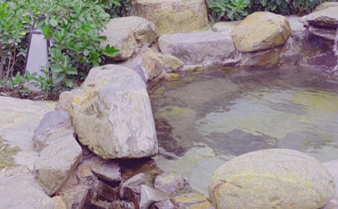 �ݜ�Ȫ���ĺϼ���15ƪ��