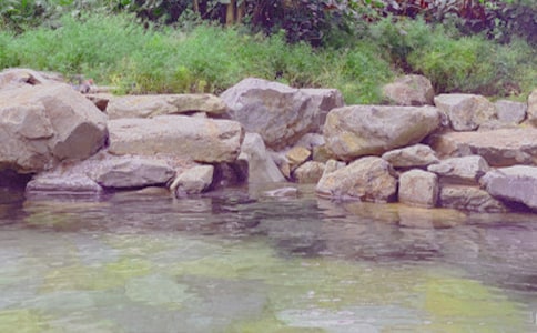 �ݜ�Ȫ����15ƪ�����ϣ�