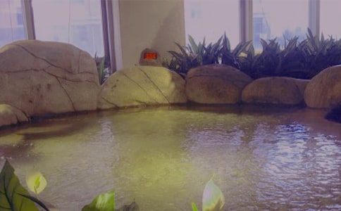 白鹿溫泉導(dǎo)游詞范文