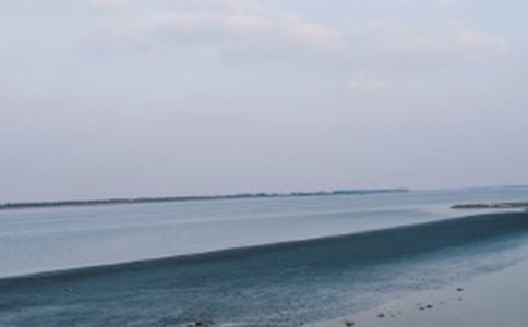 我們看海去讀后感范文(通用14篇)