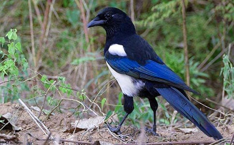 ϲ�o�����x��4ƪ