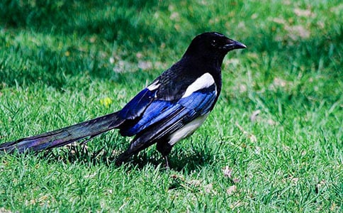 ����(sh��)��ϲ�o���̌W(xu��)�O(sh��)Ӌ(j��)��ͨ��5ƪ��