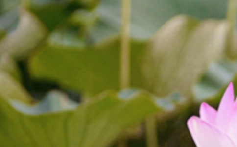 �����������ℓ���İ�