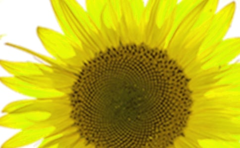 ���տ����ģ����x39ƪ��