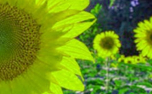 �P�������տ�һ�ӠN����x��